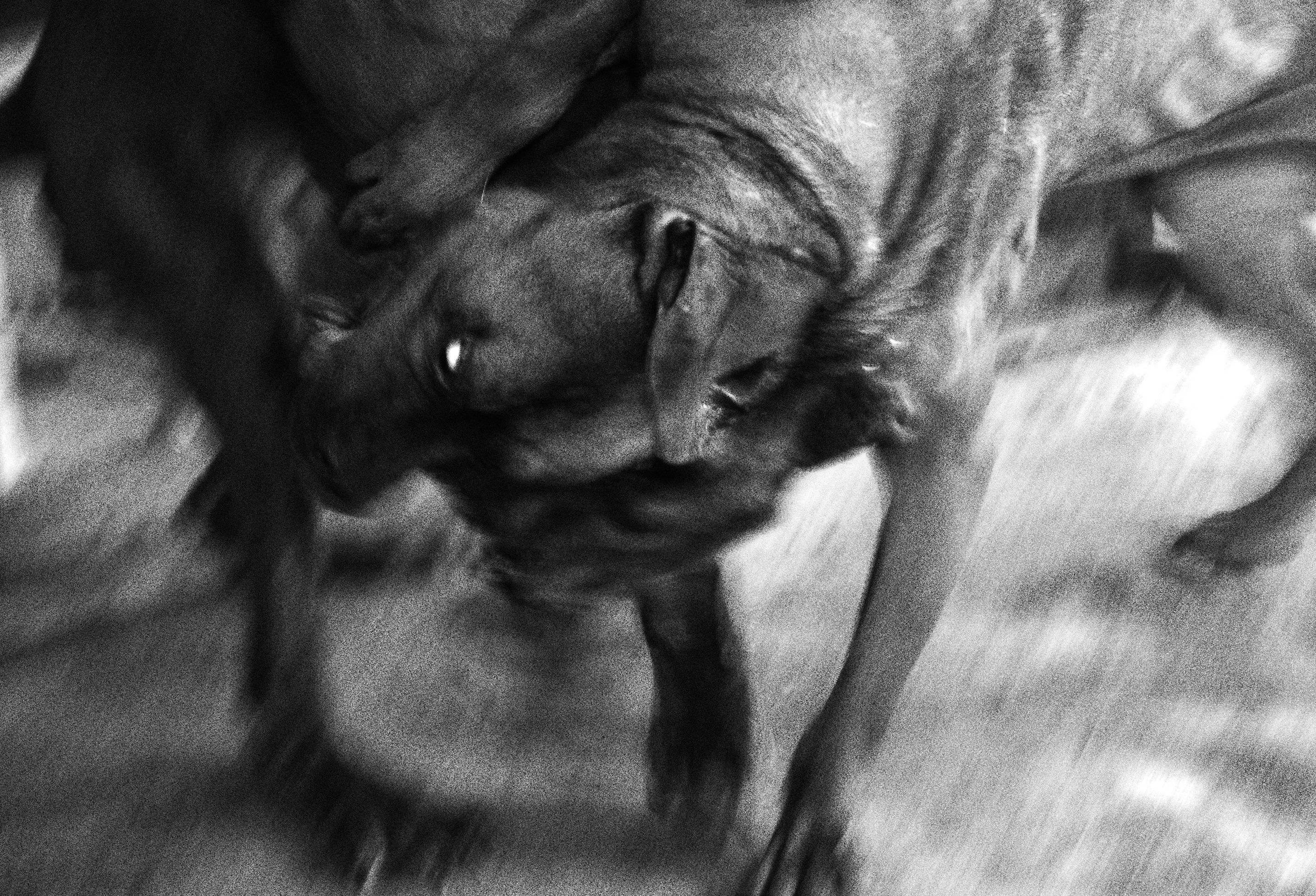 470d19106d0852536ec8e35c0e1f7f39 original