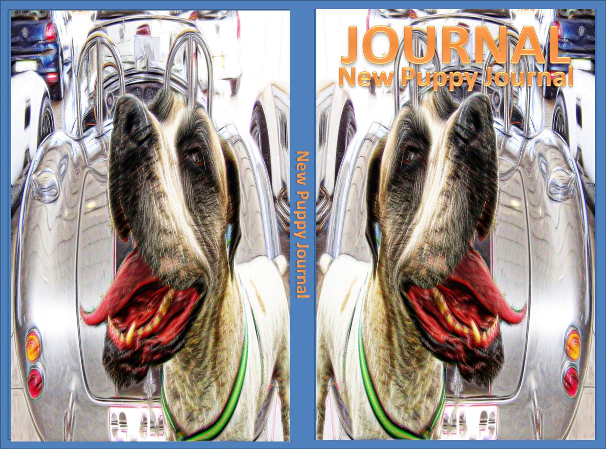 A90fce759a606005f479b6bfcb6c302e original