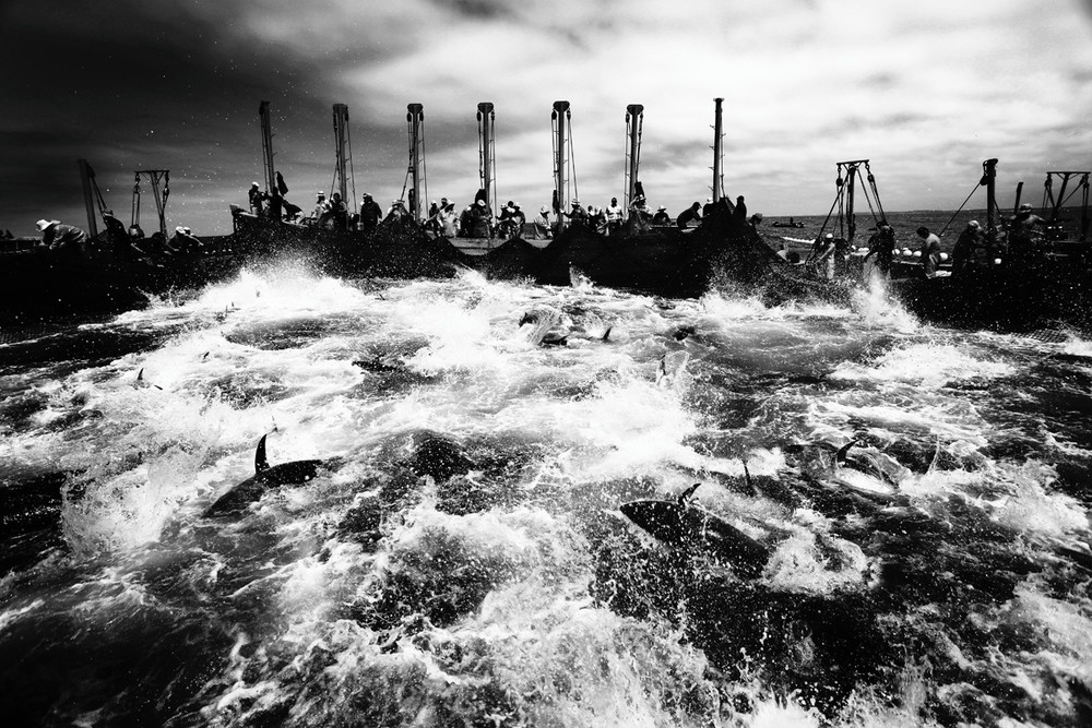 Antonio Gonzalez Caro